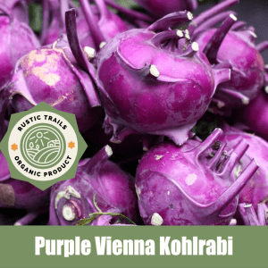 Purple Vienna Kohlrabi